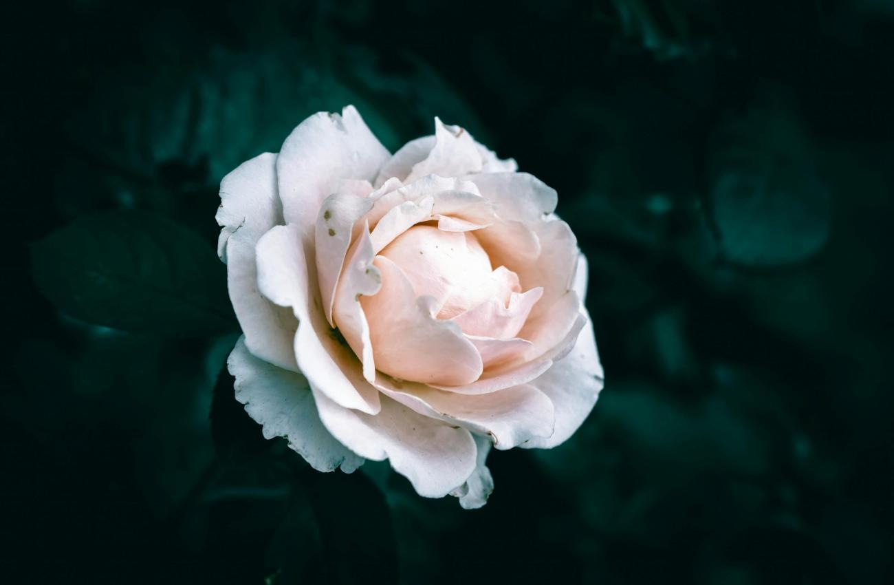 Красивые цитаты о надежде