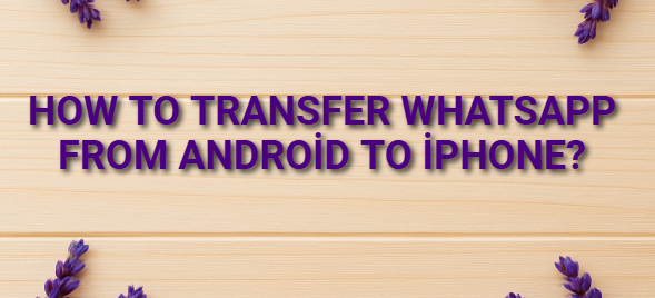 How to Transfer WhatsApp from Android to iPhone?