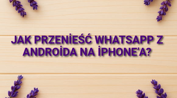 Jak przenieść WhatsApp z Androida na iPhone’a?