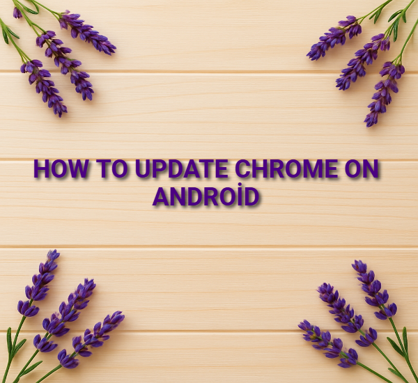 How to Update Chrome on Android