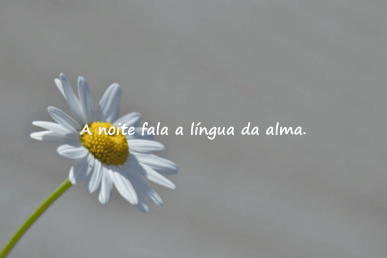 Palavras sobre a noite