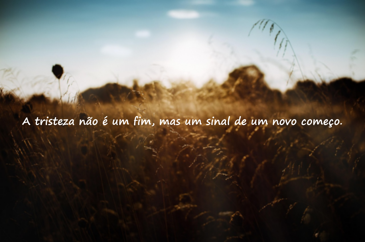 Frases sobre traição