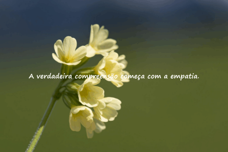 Frases sobre Compreensão