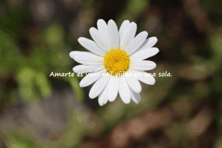 Frases significativas de amor