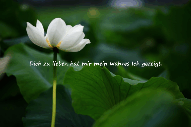 Bedeutungsvolle Liebeszitate