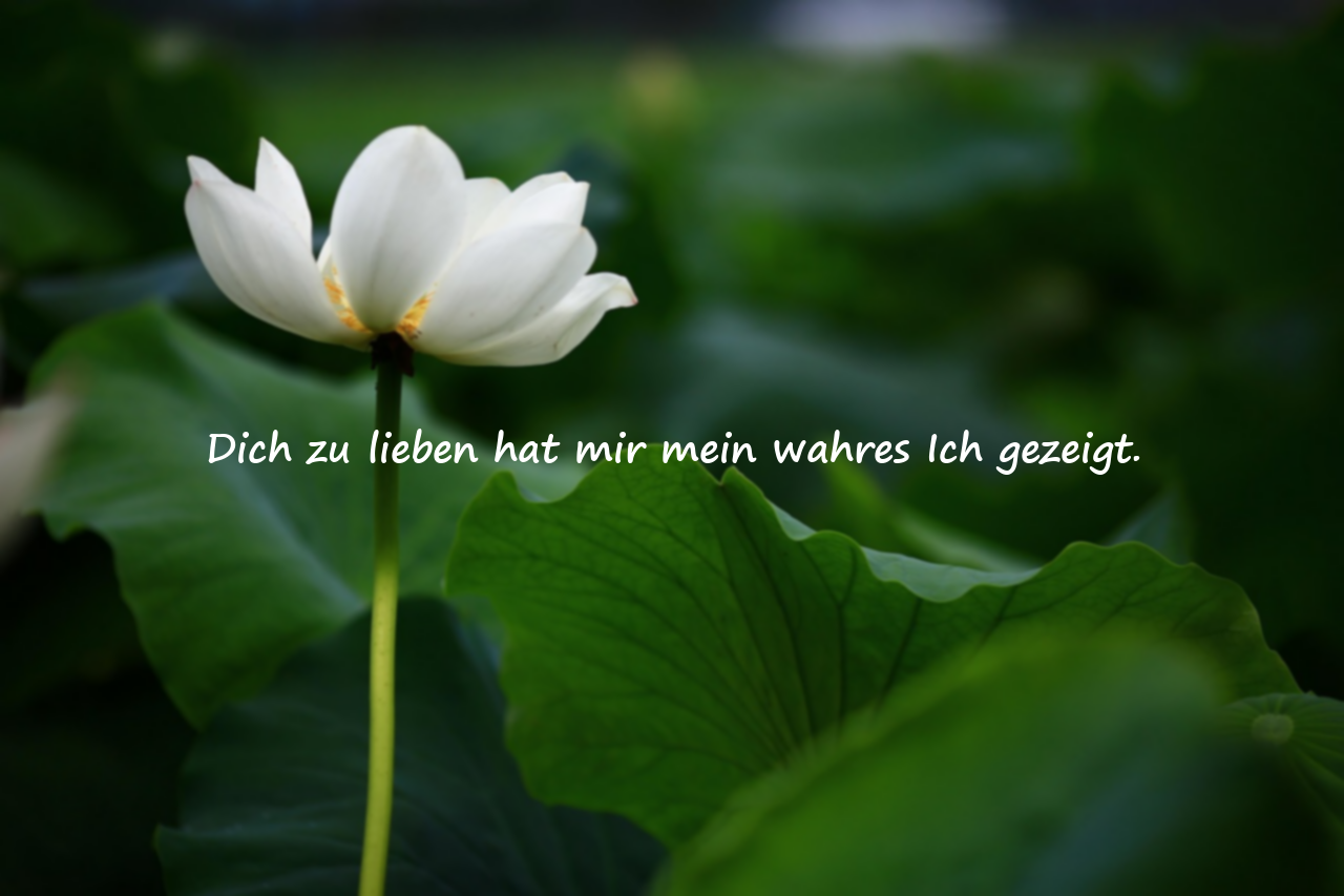 Bedeutungsvolle Liebeszitate