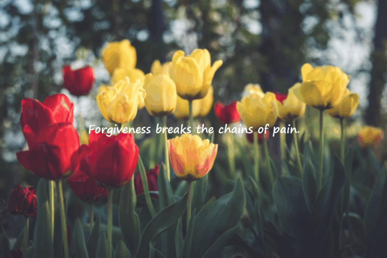 Meaningful and Emotional Quotes About Forgiveness
