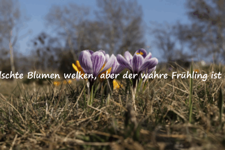 Zitate über Verrat