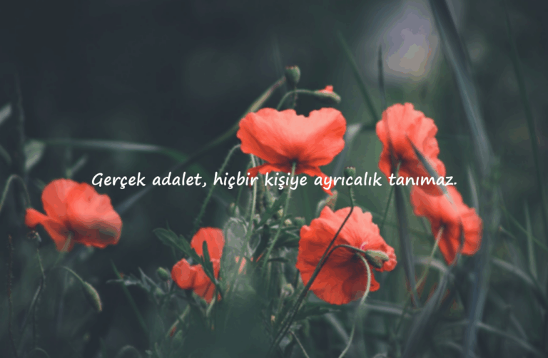Adalet ile ilgili sözler