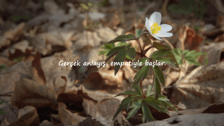 Anlamak İle İlgili Sözler