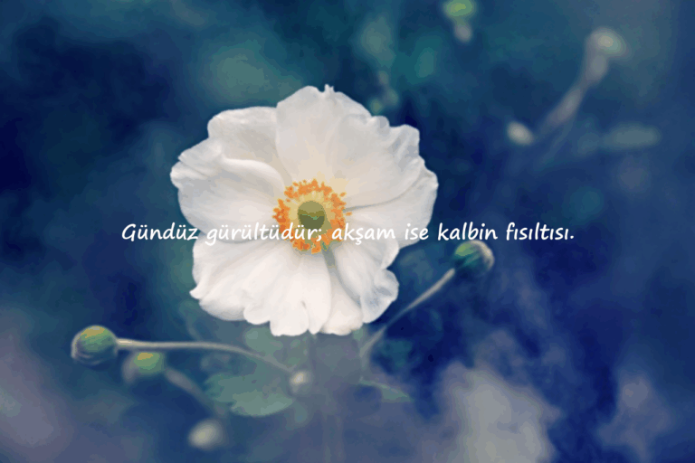 Akşam Sözleri