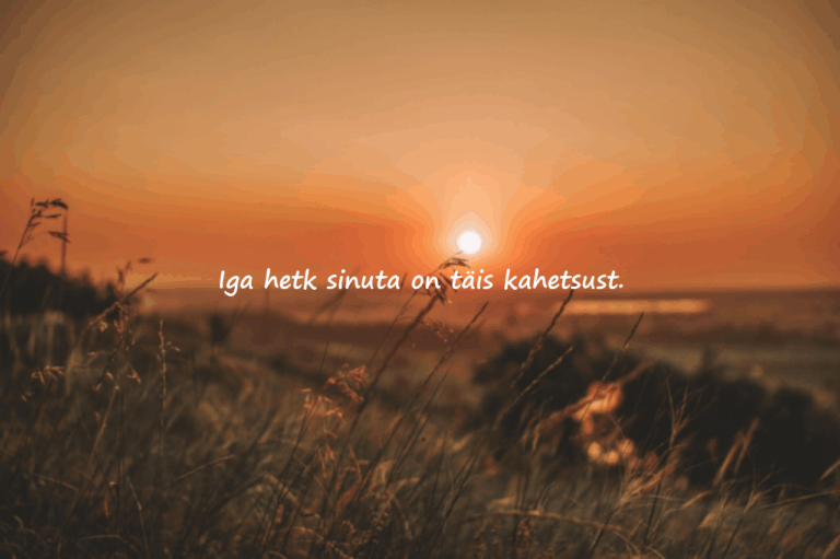 Vabandussõnad kallimale