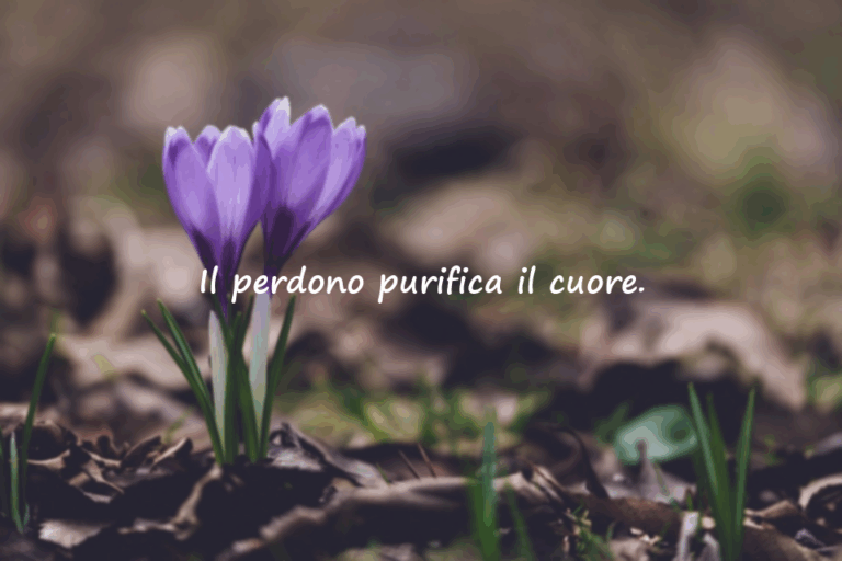 Parole significative ed emotive sul perdono
