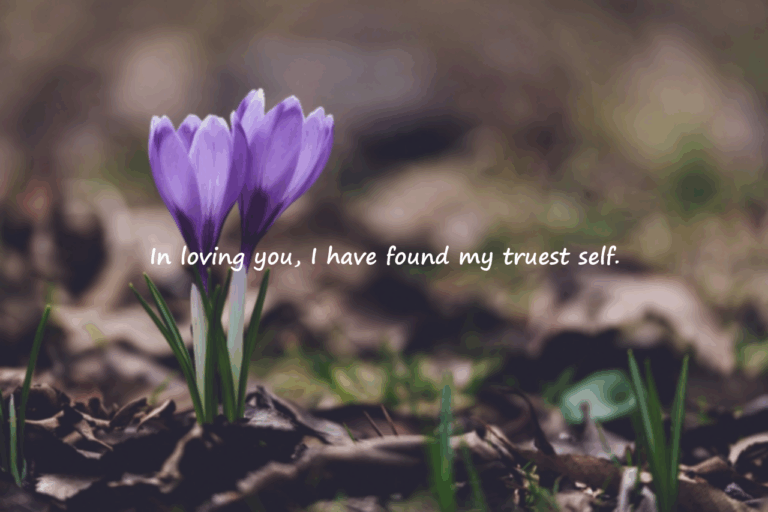 Meaningful Love Quotes