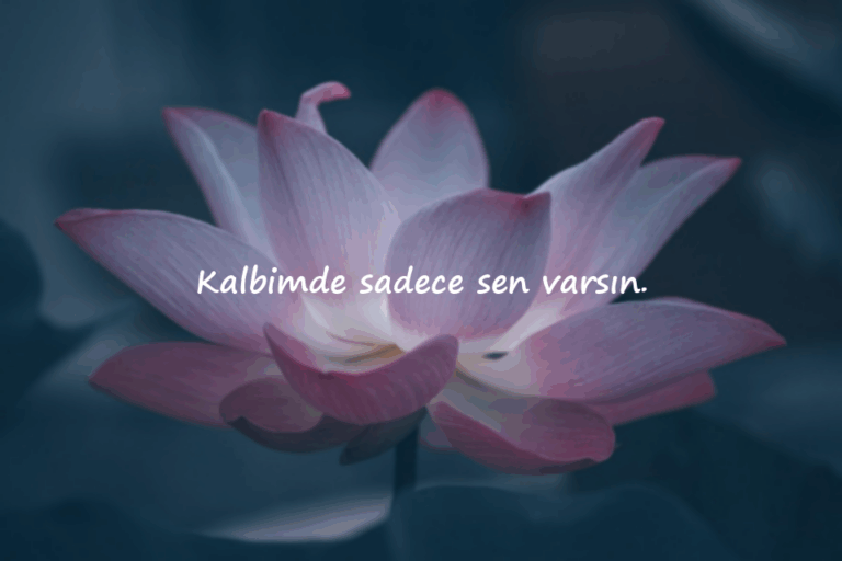 Aşk Sözleri