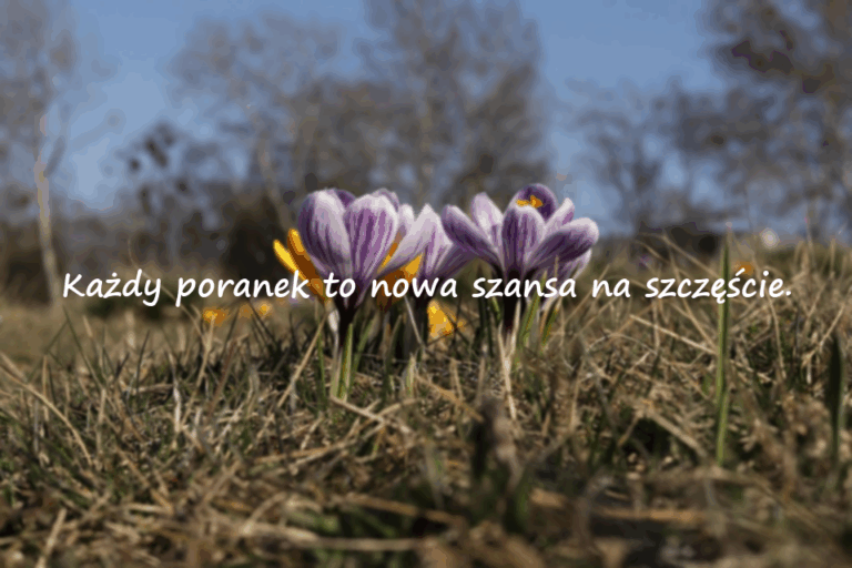 Słowa na Dzień Dobry