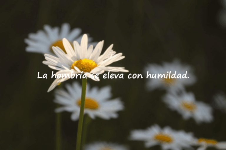 Palabras sobre la hombría / integridad