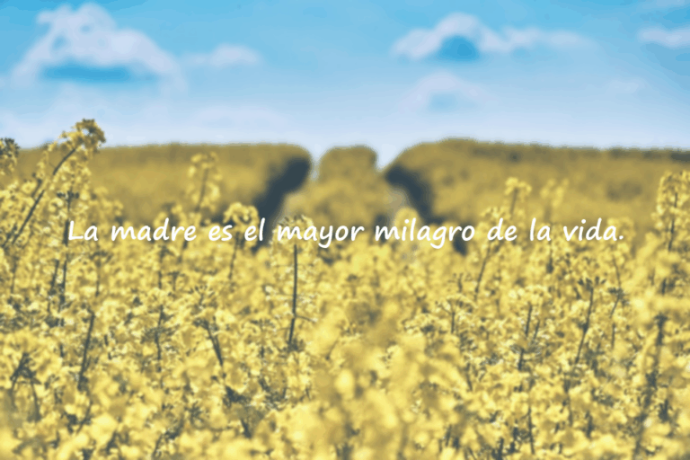 Frases Significativas Sobre la Madre