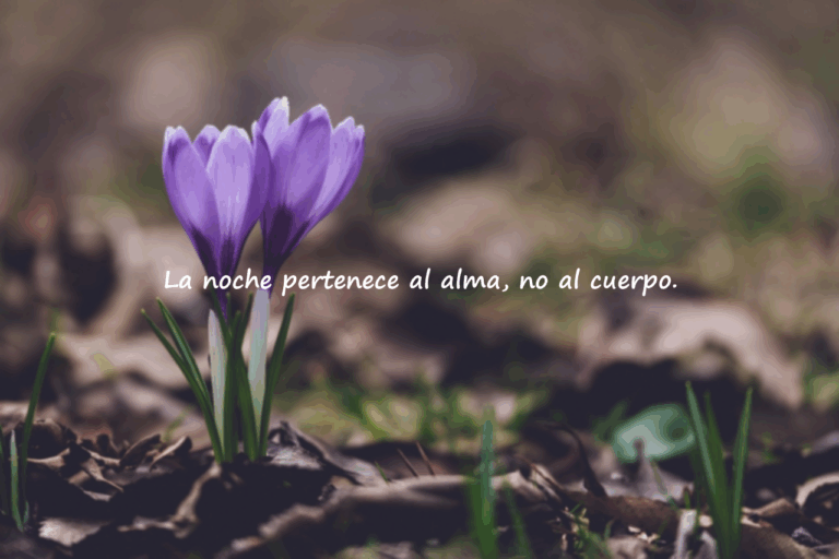 Frases sobre la Tarde/Noche