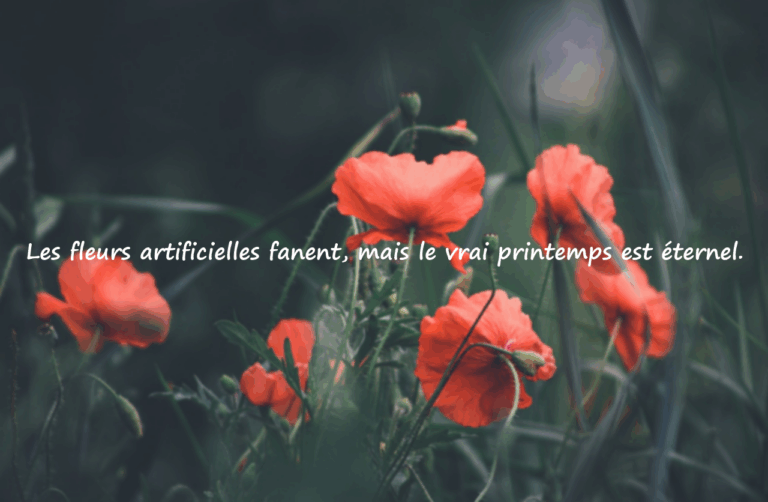 Citations sur la trahison