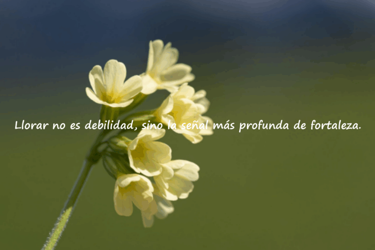 Palabras sobre llorar y la fuerza
