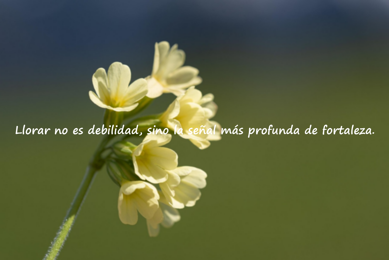 Palabras sobre llorar y la fuerza