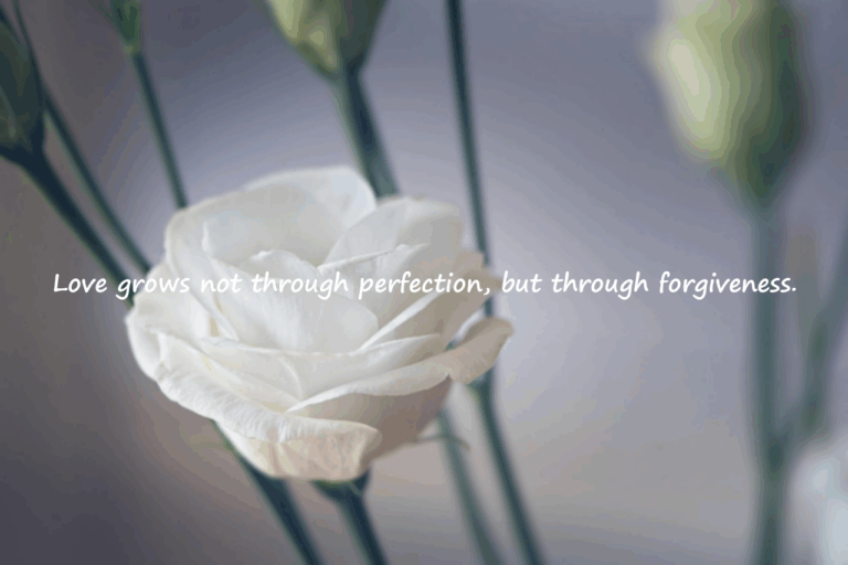 Apology Words for My Love
