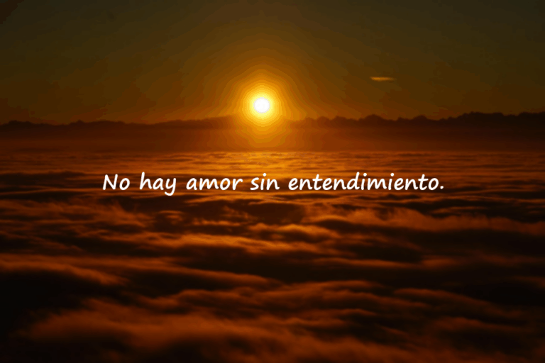 Frases sobre el Entendimiento