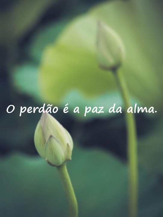 Palavras significativas e emocionais sobre o perdão