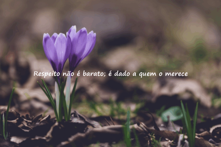 Palavras sobre caráter