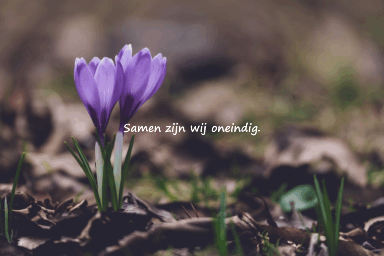Betekenisvolle liefdeswoorden