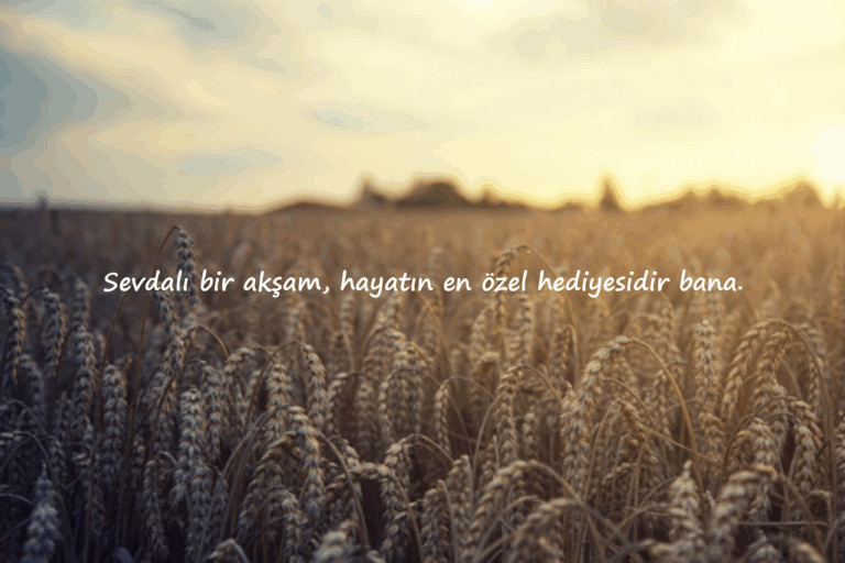 Akşam ile İlgili Sözler