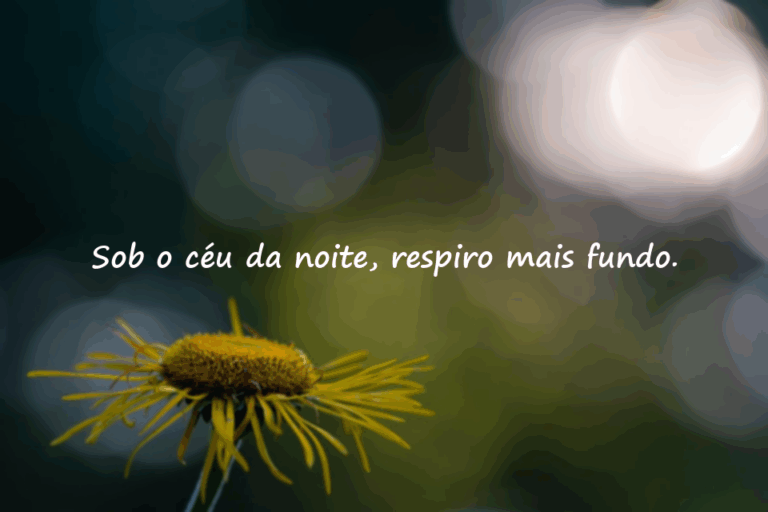 Frases sobre o Entardecer / Noite