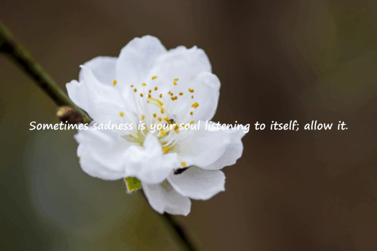 Quotes about betrayal