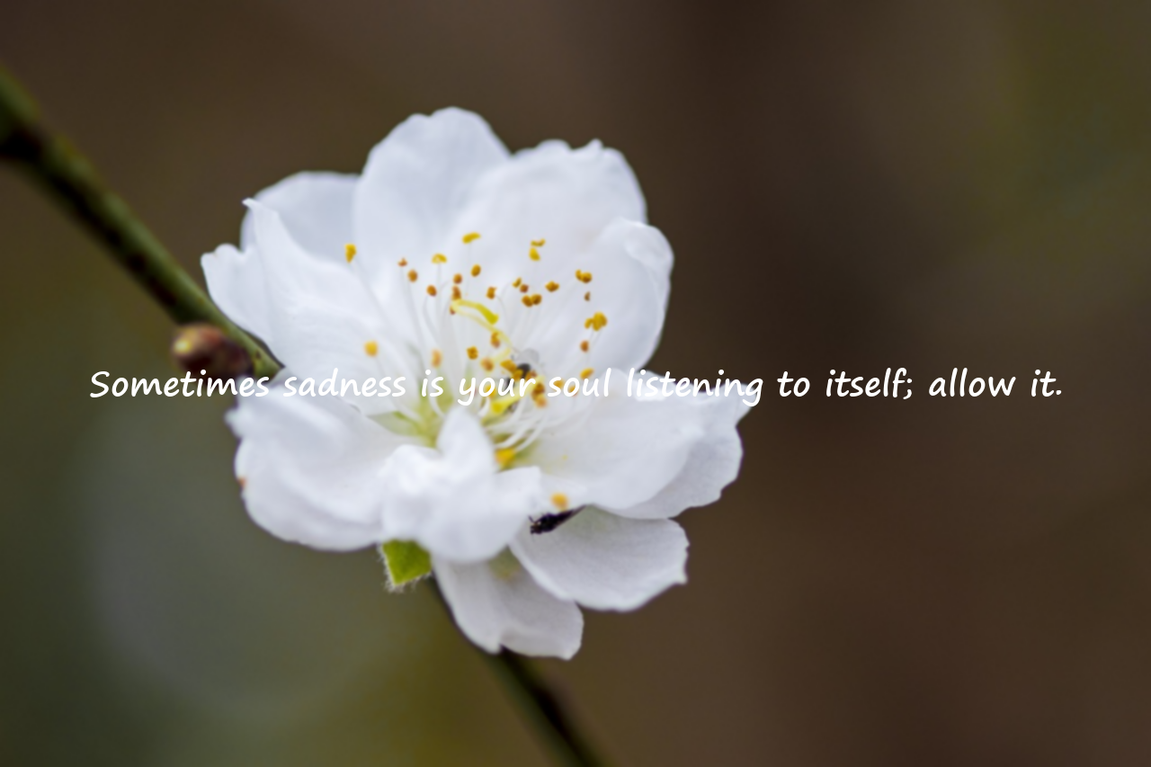 Quotes about betrayal