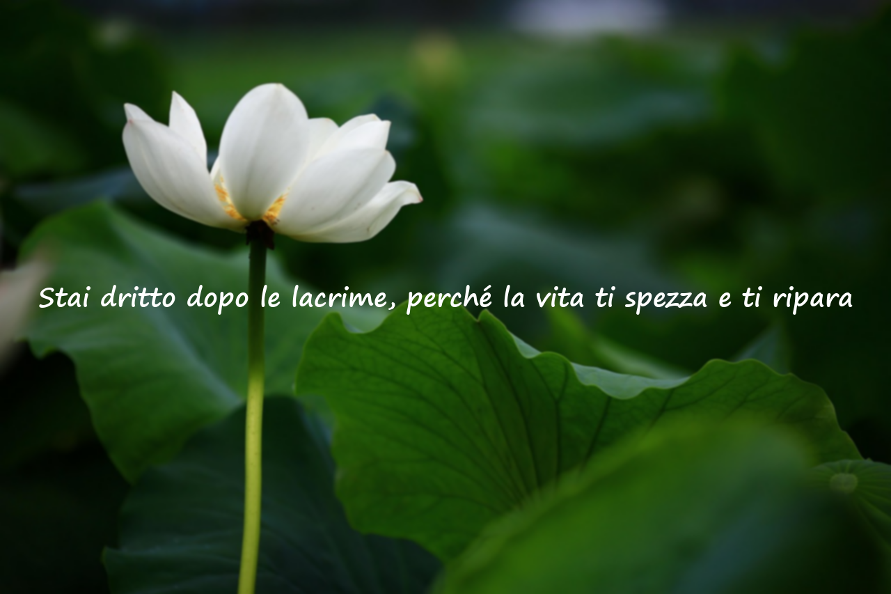 Parole sul pianto e sulla forza