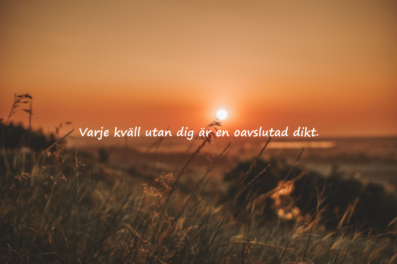 Kvällsord