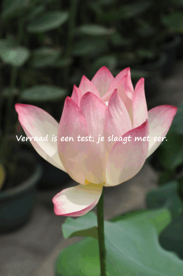 Citaten over verraad
