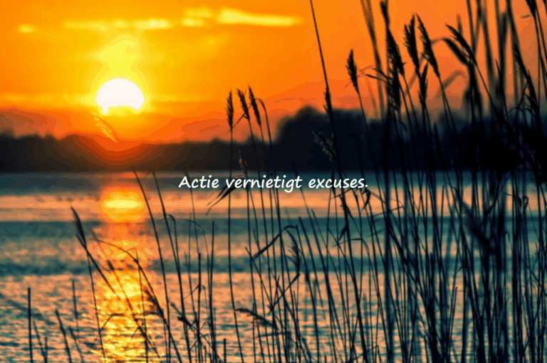 Excuses en Actie