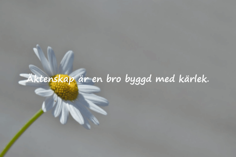 Ord om äktenskap
