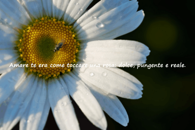 Frasi d’Amore Ispirate alla Rosa