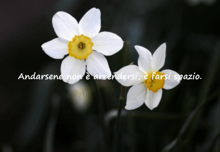 Frasi sul partire