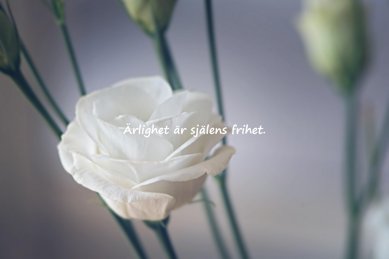 Ærlighed citater