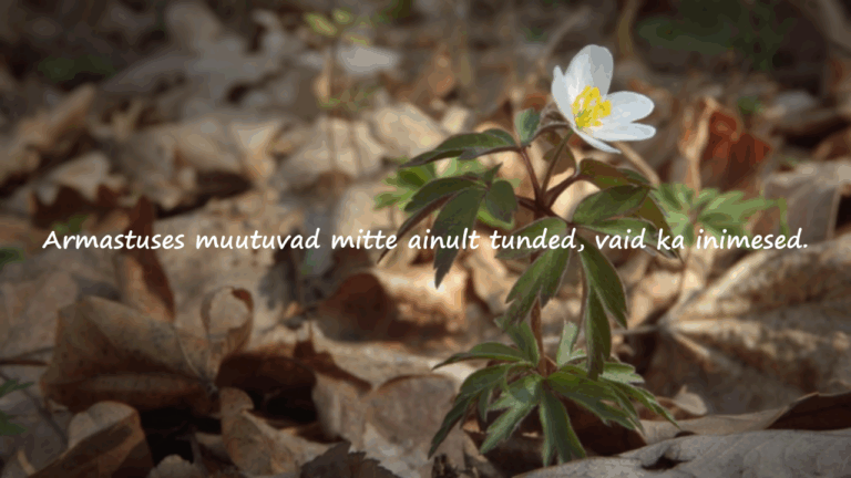 Tsitaadid Suhetes Muutumise Kohta