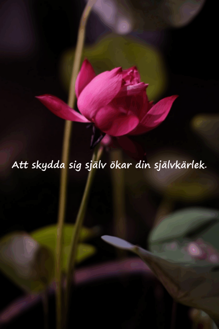 Citat om att skydda sig själv från människor omkring dig
