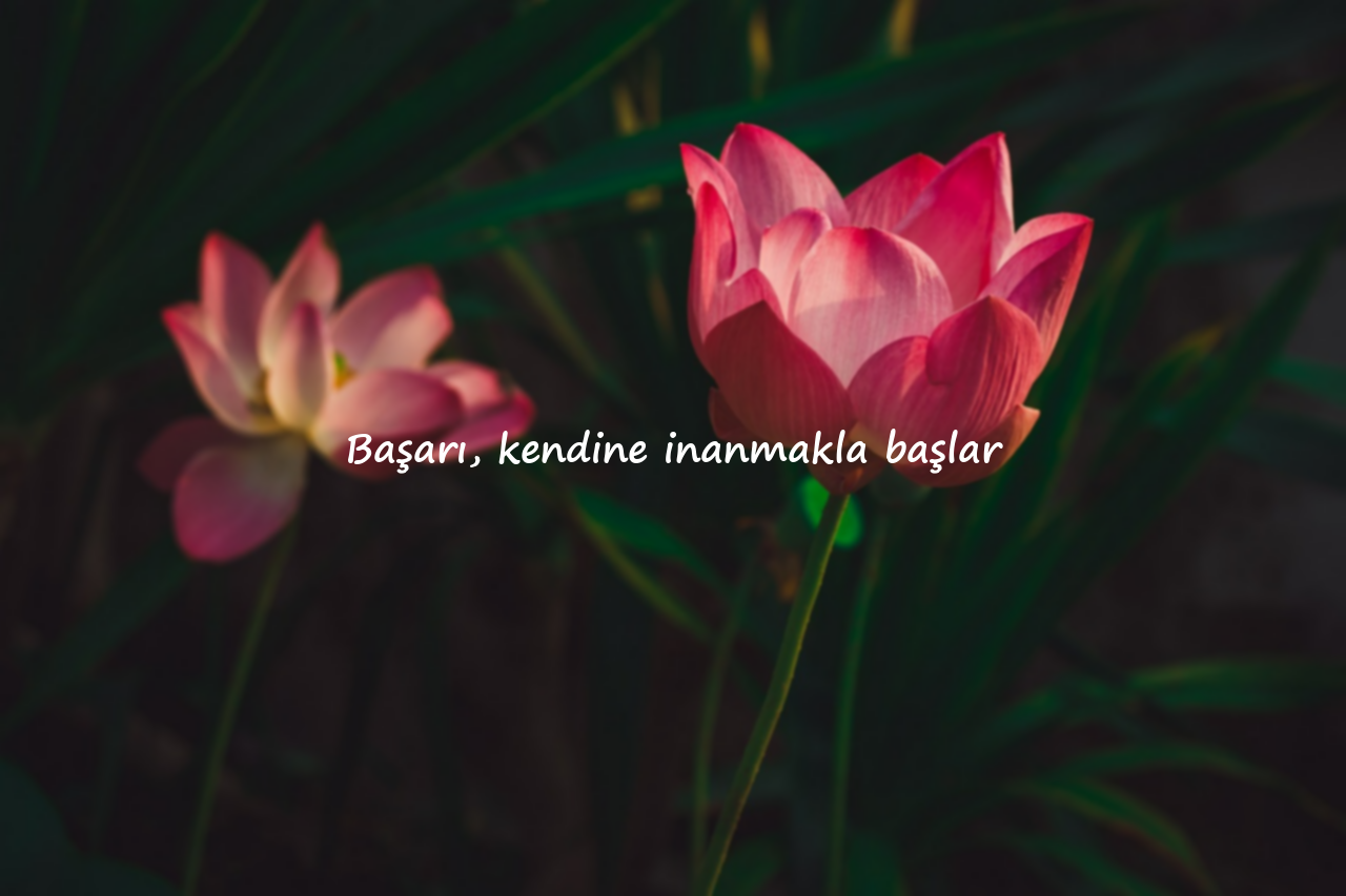 Başarı ile İlgili Sözler