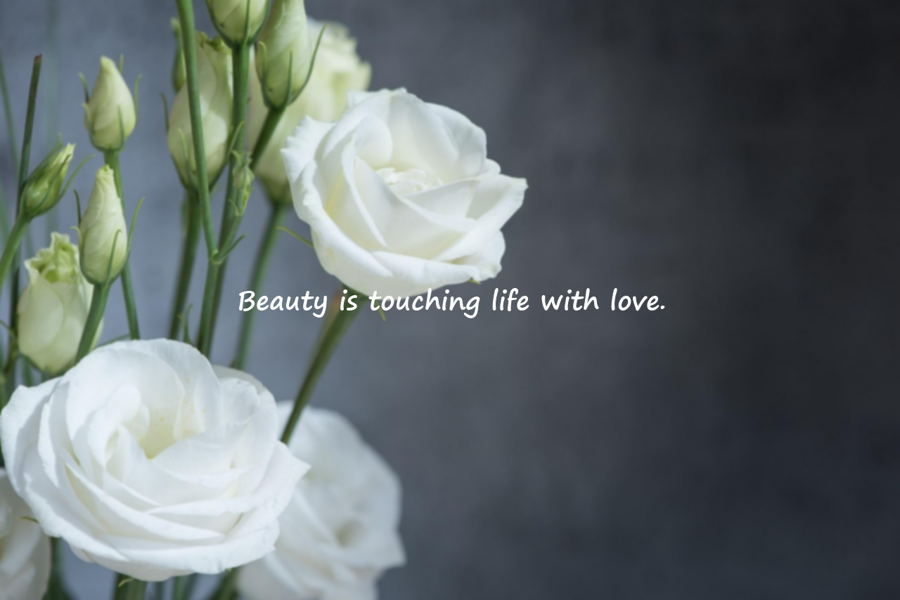 Quotes About Beauty