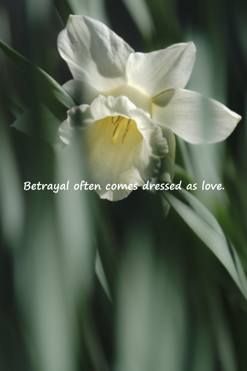 Quotes About Infidelity