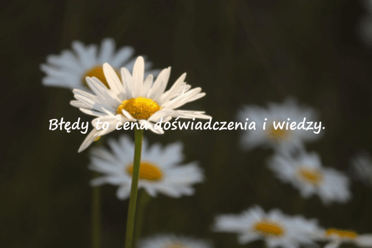 Piękne cytaty o błędach