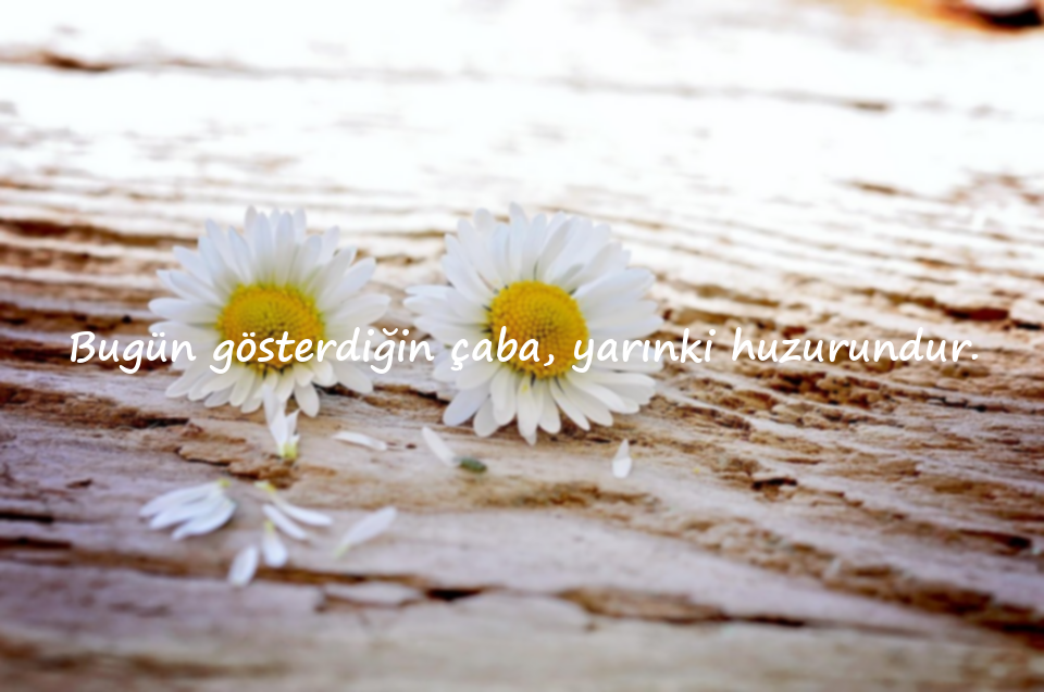 Çalışmak ve Azim ile ilgili sözler